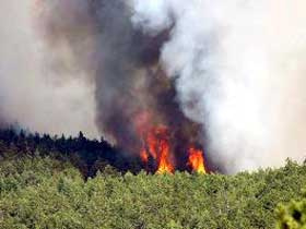 Sazak Koyunda orman yangını
