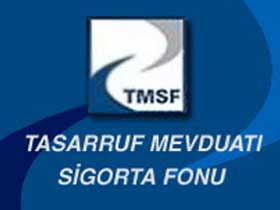 TMSF sattı 2 bin YTL gelir aldı