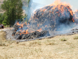 Bitlis'te 25 ton saman kül oldu