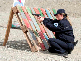 Erzincan polisi hedefi 12'den buldu