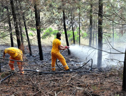 Datça'da ikinci orman yangını