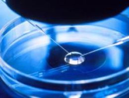 Kablosuz ağ sperm kalitesini düşürüyor mu?