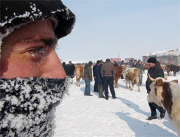 Ardahan'da kirpikler buz tutarsa