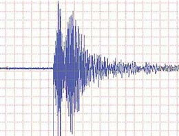Muş'ta deprem paniği