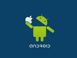 Android 4.1 Jelly Bean'da flash olmayacak!