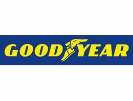 Goodyear'dan inanılmaz fırsat!