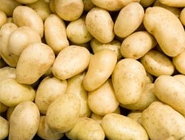 Taze patatesin fiyatı rekor kırdı