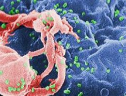 Yeni HIV hapı geliştirildi