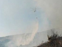 Marmara Adası'nda korkutan yangın