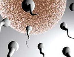 Vücuttaki sperm düşmanları bulundu!