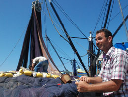 Balıkçıların palamutta '38 santim' tepkisi