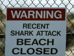 ABD'li sörfçü köpekbalığı kurbanı oldu