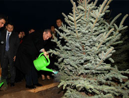 Başbakan Erdoğan ağaç dikti!