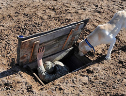 Bu köpekler dağda PKK'lı barındırmayacak!