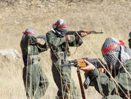 PKK'nın silah bırakmasını hangi ülkeler istemiyor?