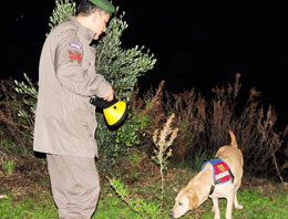 Mantar toplamaya gitti geri dönmedi