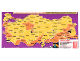 Türkiye'nin suç haritası çıkarıldı!