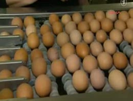 Irak'ın bayram hazrılıkları yumurta fiyatlarını fena vurdu
