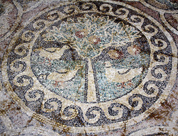 Amasya tarihinin tanığı mozaikler