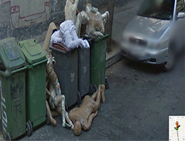 Street View bakın şimdi de neyi görüntüledi