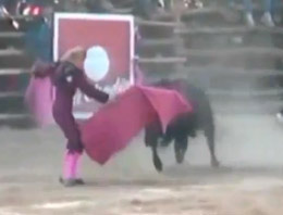 Kadın matadorun zor anları