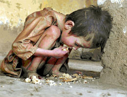 1 milyar insan açlıkla savaşıyor