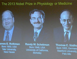İşte Nobel Tıp ödülünü alan araştırma