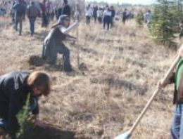 ODTÜ Rektörü: Yaşananlar bizi rencide ediyor