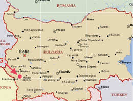 Bulgaristan'da dazlaklar parti kurdu