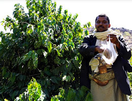 'Kahve Yemen'den gelir'