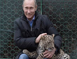 Vladimir Putin kafese girdi leopar sevdi