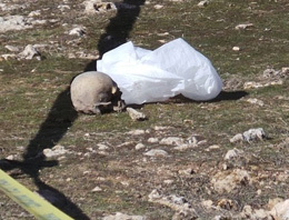 Esrarengiz kafatası ve kemik parçaları bulundu