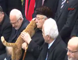 Erbakan'ı anma töreninde kedi sürprizi