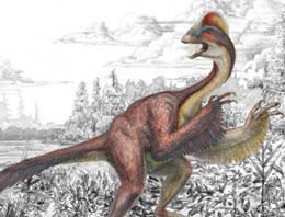 Yeni dinozor türü: Cehennemden Tavuk