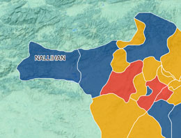 Ankara Nallıhan seçim sonuçları 2014