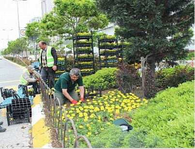  Ataşehir Belediyesi yolları çiçeklendiriyor!