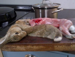 Ünlü yazarın ölü tavşan fotoğrafı tepki çekti