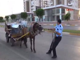 Polis inatçı atla imtihanı kamerada