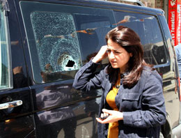 Van'da AK Partili vekile taşlı saldırı