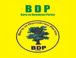 BDP'li Eş Başkan intihara kalkıştı!