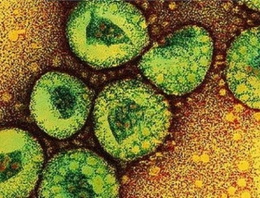 Türkiye'de 'corona virüsü'nden ölüm
