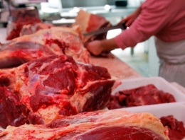 Burdur'da 205 kilogram at eti ele geçirildi