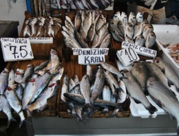 Karadeniz bitti tezgahtaki bakın nere hamsisi?