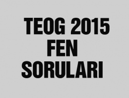 TEOG Fen ve Teknoloji soru ve cevapları 2015 videolu 