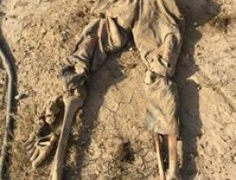 Tikrit yakınındaki toplu mezarlardan 470 ceset çıkarıldı