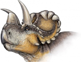 79 milyon yıllık dinozor fosili bulundu