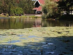 Taç hatalıysa gol sayılır mı? - Resim: 2