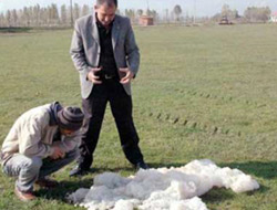 Gökyüzünden pamuk yağdı