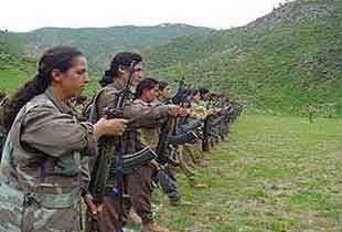 Bingölde PKK operasyonu