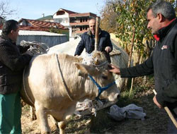 Kurban pazarında sahte para uyarısı 